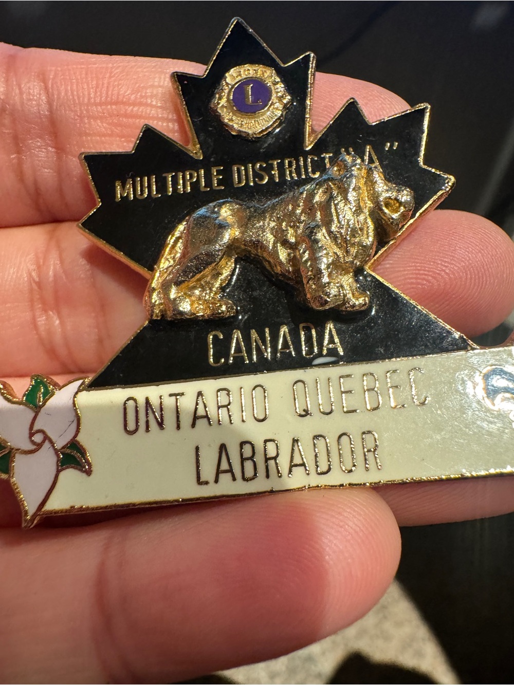 Canada Labrador Multiple District 'A' Maple Leaf Pin - Black & Gold - Picture 5 of 9